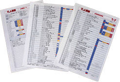 100項目チェックシートの写真